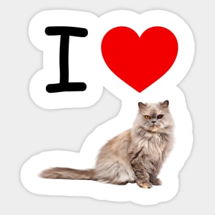 I HEART  PERSIAN CAT Sticker